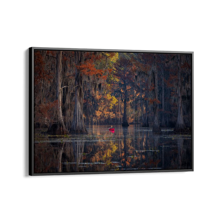 Serene reflections of cypress trees at Caddo Lake in stunning CADDO LAKE 2023, PHOTOGRAPHY PRINTS collection.