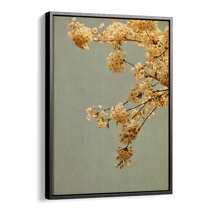 Delicate blossoms grace the canvas in SPRING MORNING, FLORAL FLOWER PAINTINGS, capturing nature's vibrant beauty.