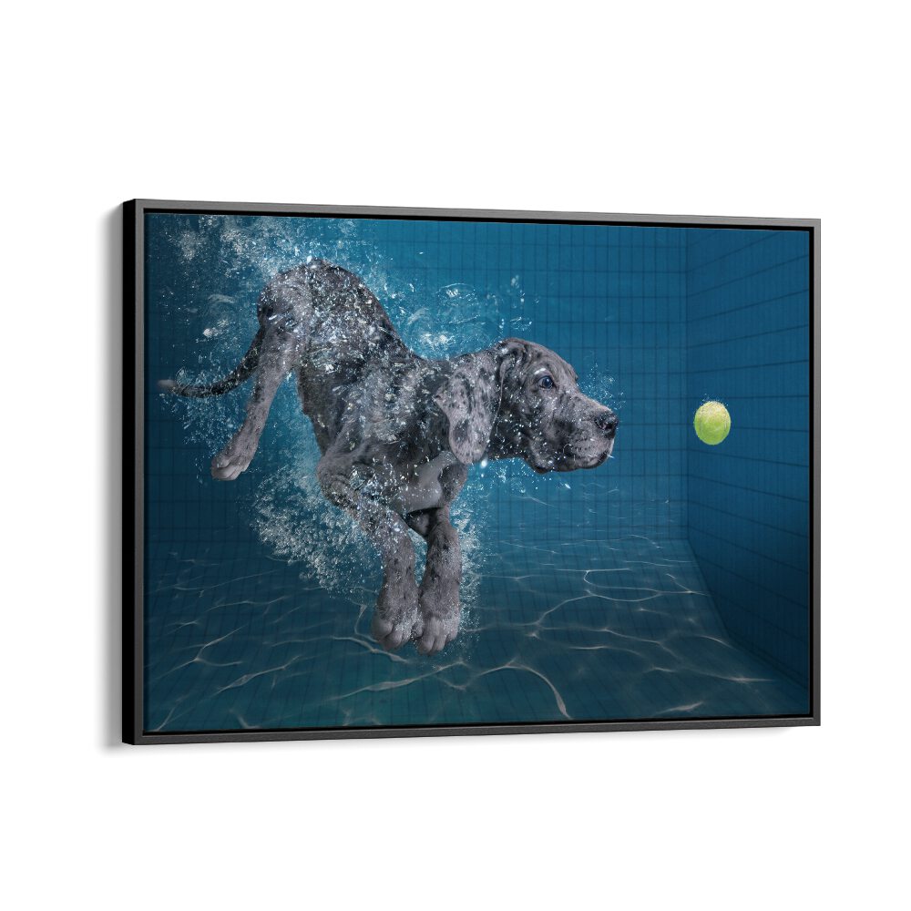 SPLASH DOG, PHOTOGRAPHY PRINTS showcase a playful dog diving into water, capturing vibrant wildlife essence.