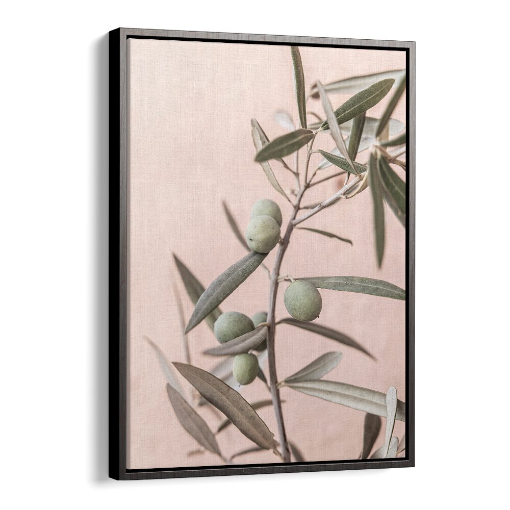 Elegant OLIVES, FLORAL FLOWER PAINTINGS showcasing handpicked green olives against a soft pink background.