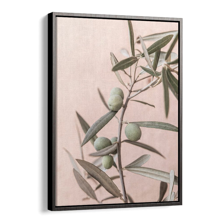 Elegant OLIVES, FLORAL FLOWER PAINTINGS showcasing handpicked green olives against a soft pink background.