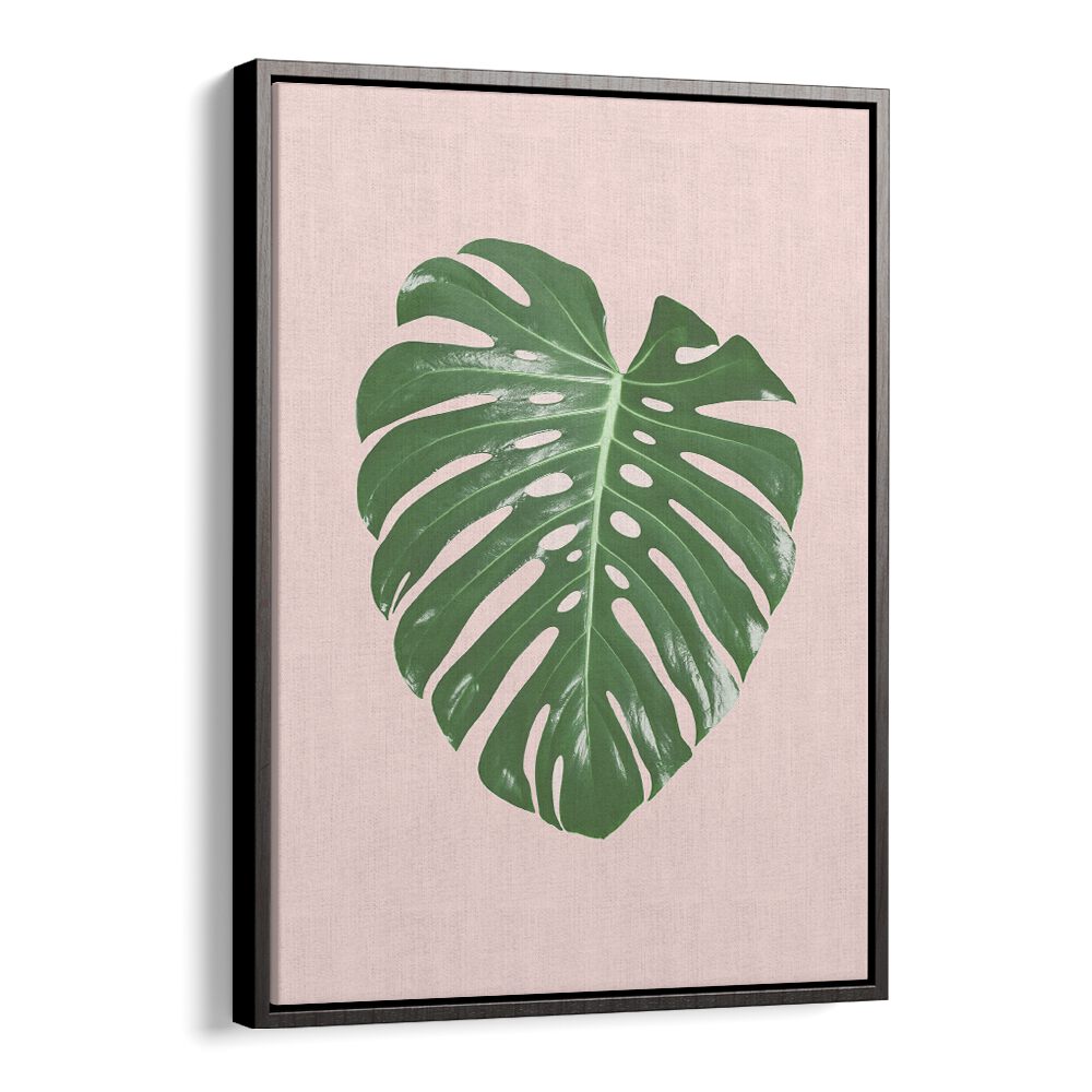 Stunning MONSTERA LEAF BLUSH, FLORAL FLOWER PAINTINGS, adding elegance and tropical charm to your home decor.