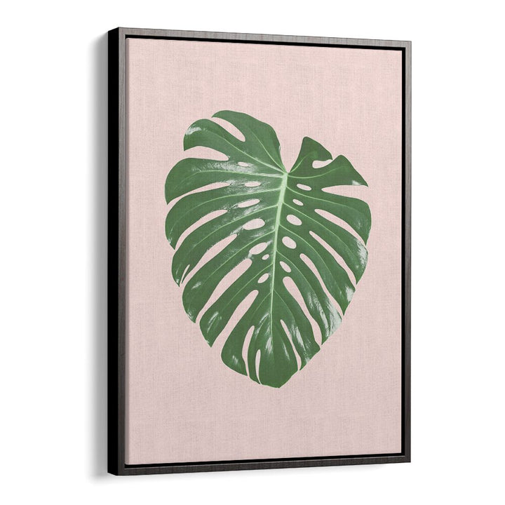 Stunning MONSTERA LEAF BLUSH, FLORAL FLOWER PAINTINGS, adding elegance and tropical charm to your home decor.