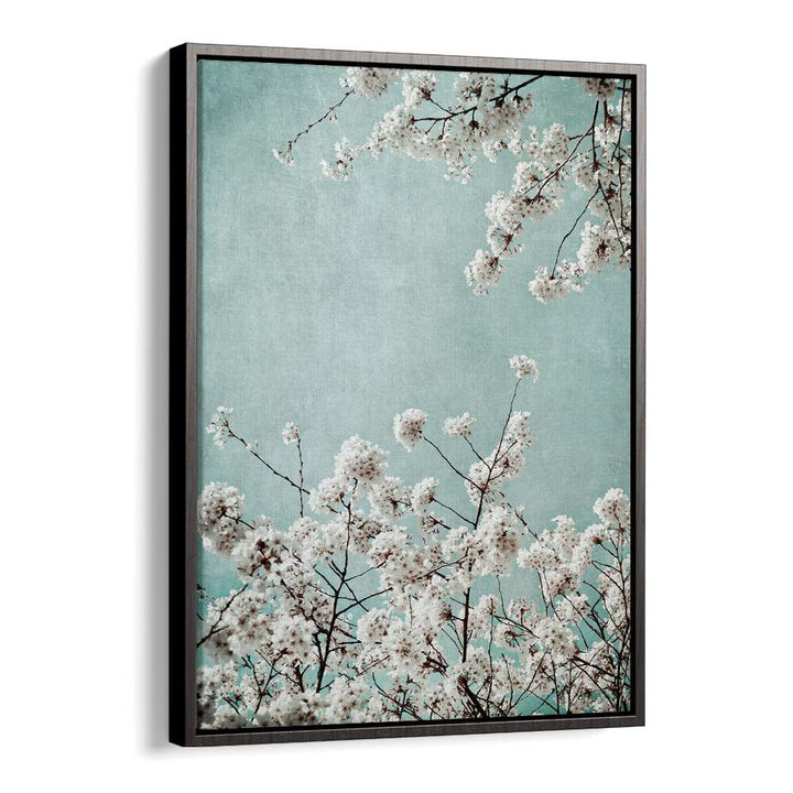 Delicate white blossoms against a soft blue background in SPRING TIME, FLORAL FLOWER PAINTINGS to brighten your home.