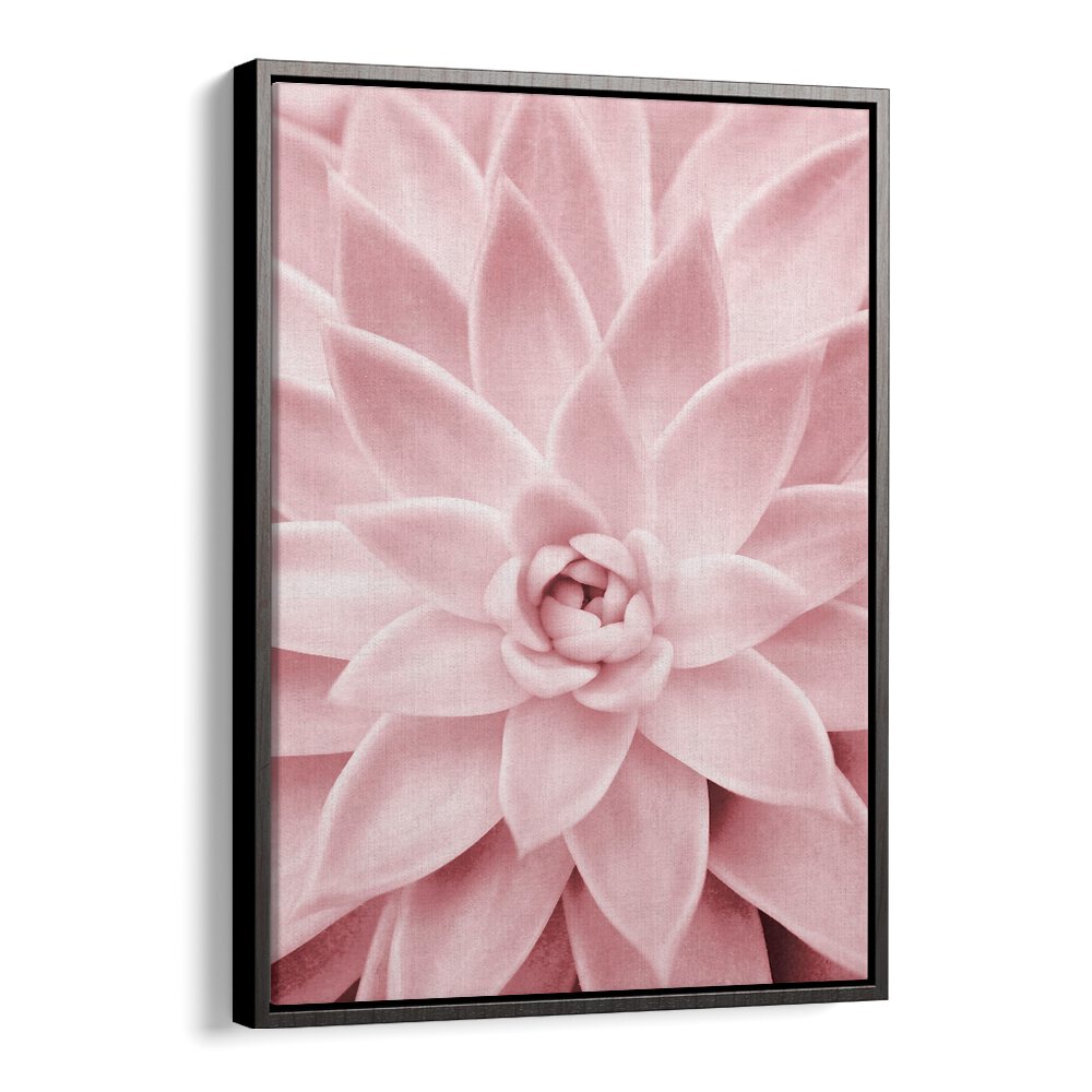 Stunning PINK SUCCULENT floral flower paintings, perfect for enhancing home decor with elegance and charm.