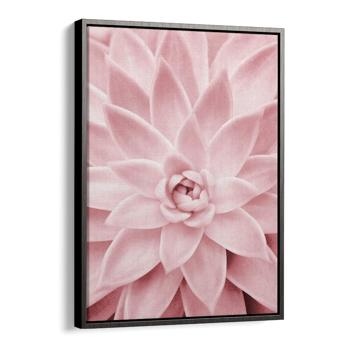 Stunning PINK SUCCULENT floral flower paintings, perfect for enhancing home decor with elegance and charm.