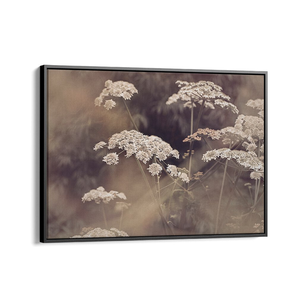 WILD PARSLEY, FLORAL FLOWER PAINTINGS showcasing the delicate beauty of this versatile herb in a stunning artwork.