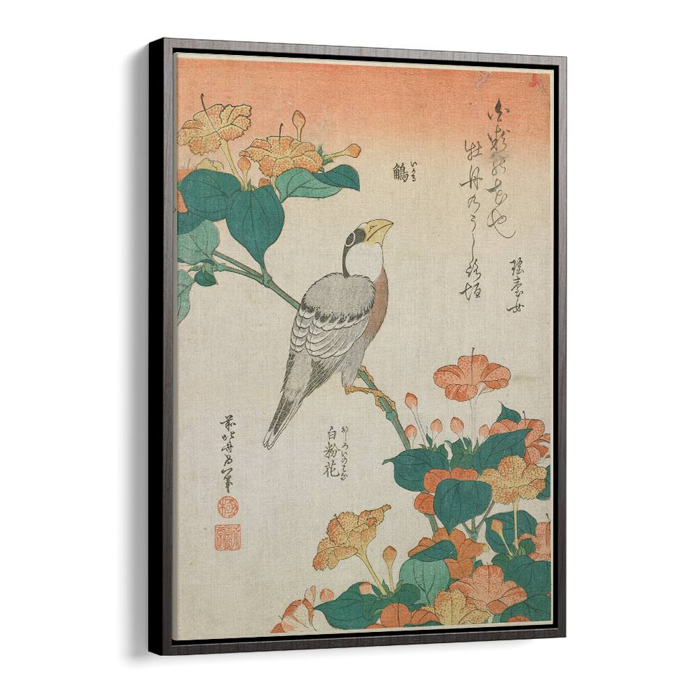 HAWFINCH AND MARVEL-OF-PERU , VINTAGE PAINTINGS