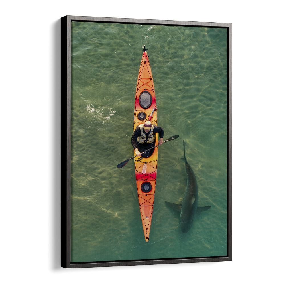 Kayaker gliding above a shark in clear waters, showcasing the INTIMATE SHARK ENCOUNTER, PHOTOGRAPHY PRINTS experience.