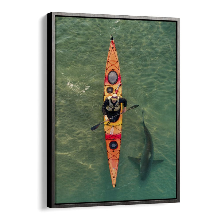 Kayaker gliding above a shark in clear waters, showcasing the INTIMATE SHARK ENCOUNTER, PHOTOGRAPHY PRINTS experience.