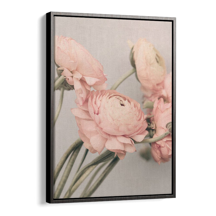 Elegant ROSE III, FLORAL FLOWER PAINTINGS featuring soft pink blooms, perfect for enhancing any decor style.