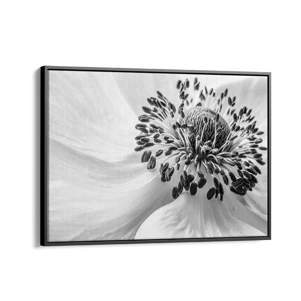 Elegant ANEMONE, FLORAL FLOWER PAINTINGS enhance home decor with their stunning beauty and sophistication.