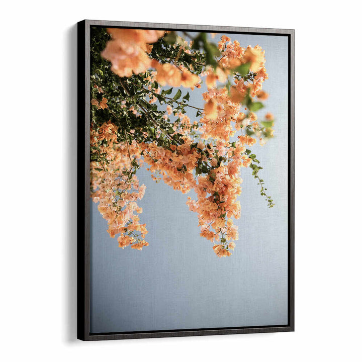 GOLDEN BLOSSOM DANCE , FLORAL FLOWER PAINTINGS showing cascading peach blossoms on blue backdrop by BLACKFLOATER