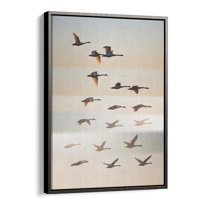 PAST THE SUN , PHOTOGRAPHY PRINTS