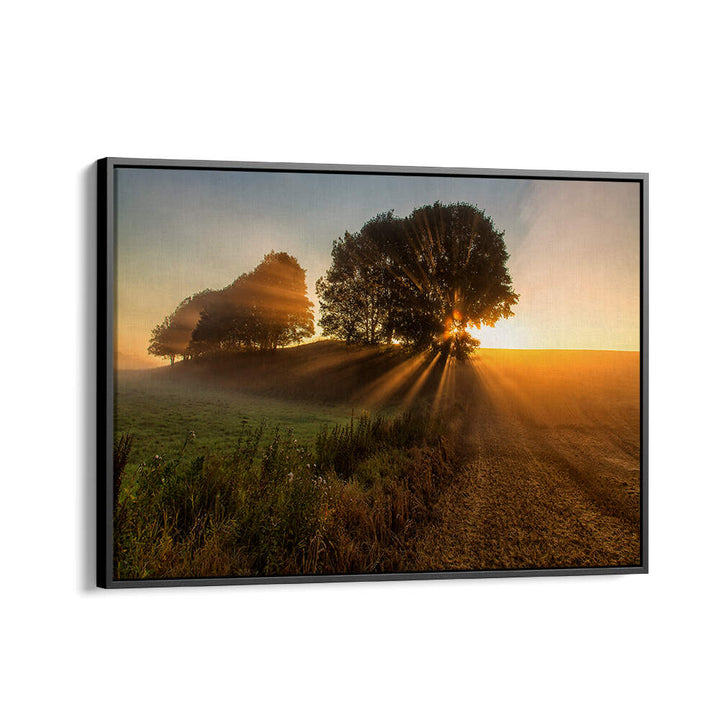 SUNBEAMS , PHOTOGRAPHY PRINTS
