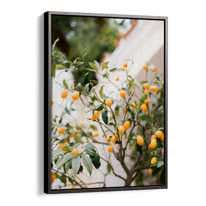 ORANGE CAPRI , PHOTOGRAPHY PRINTS