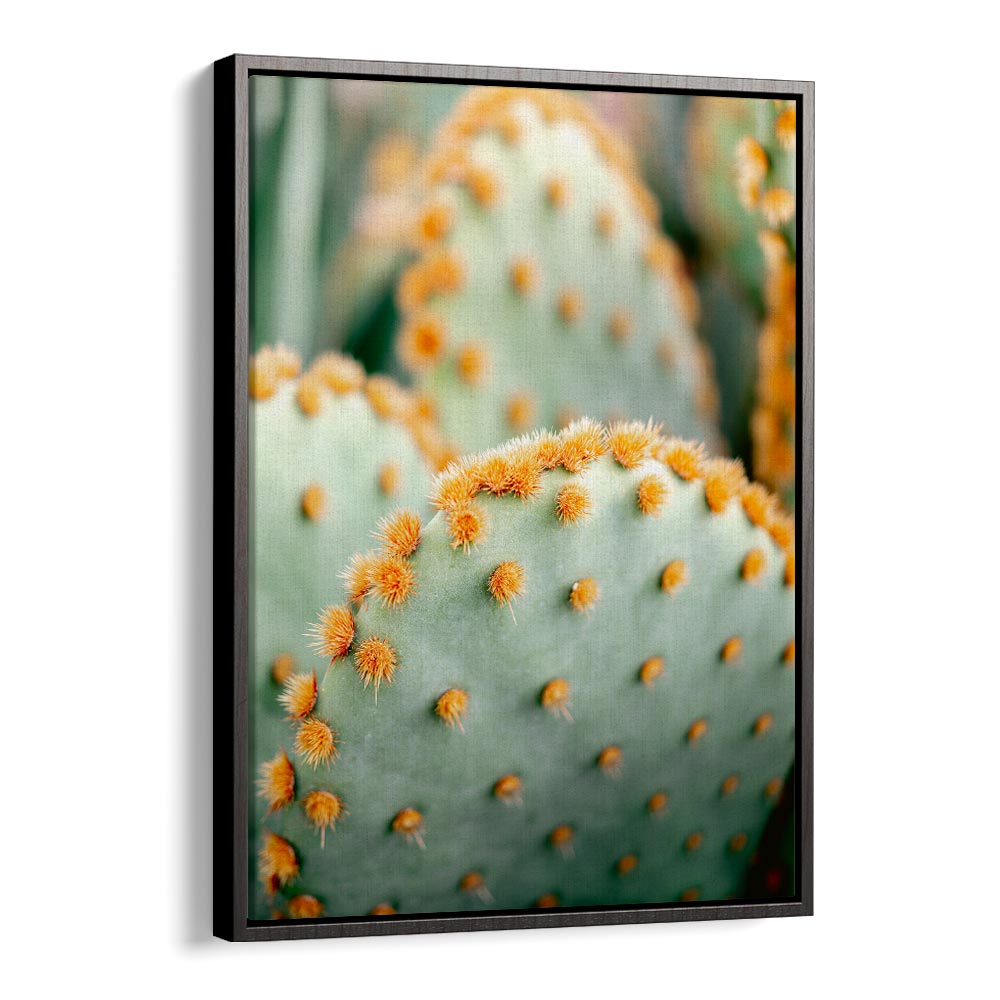 ORANGE AND GREEN II , PHOTOGRAPHY PRINTS