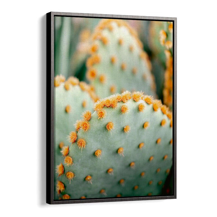 ORANGE AND GREEN II , PHOTOGRAPHY PRINTS