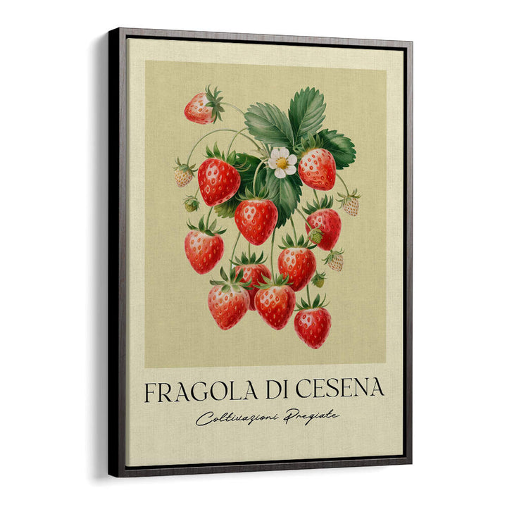 FRAGOLA DI CESENA , FLORAL FLOWER PAINTINGS
