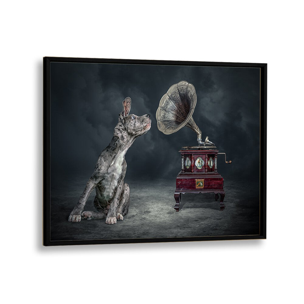 Surreal MUSIC DOG, PHOTOGRAPHY PRINTS featuring a dog and a vintage gramophone, perfect for art lovers.