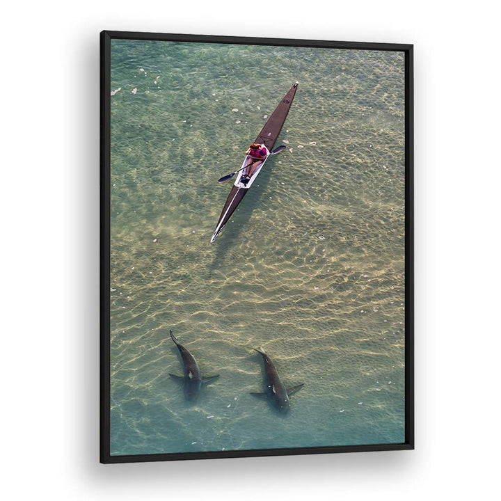 Kayaker exploring the ocean alongside sharks, featured in SHARKS COMPANION, PHOTOGRAPHY PRINTS collection.