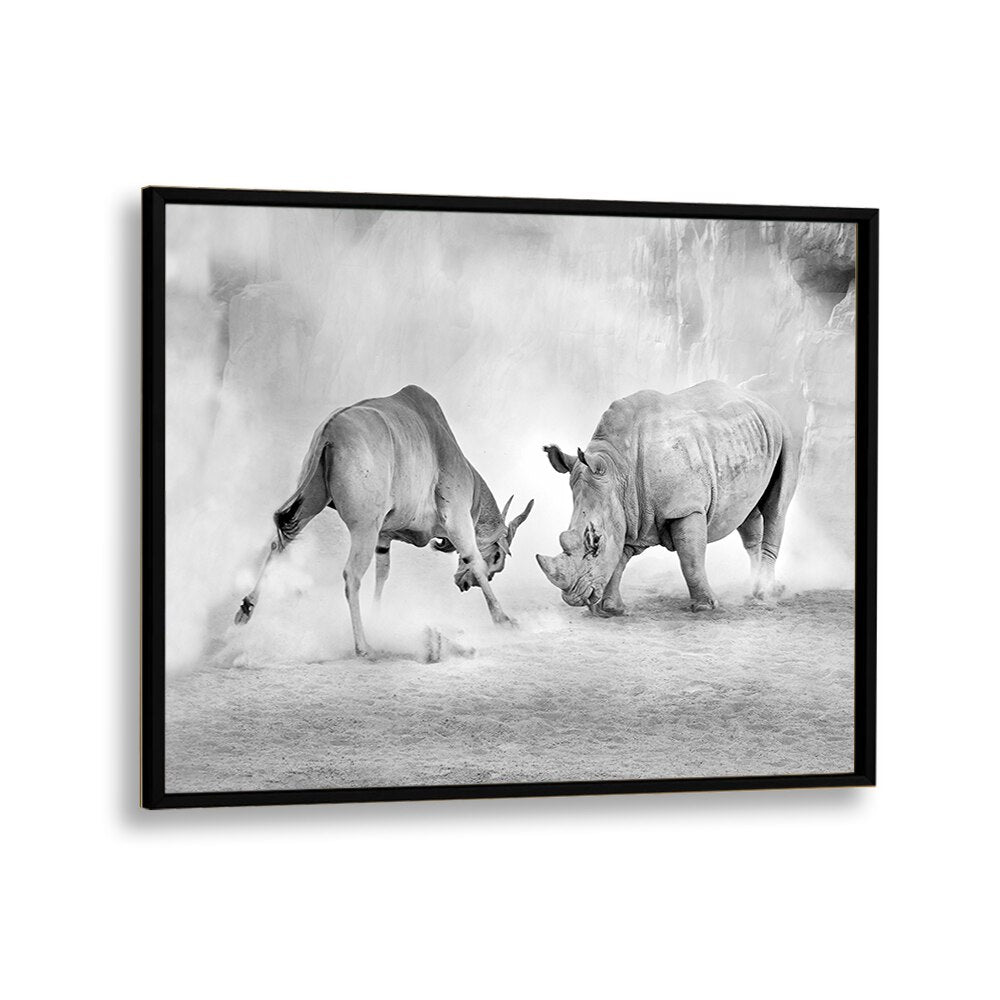 Stunning COMBAT, PHOTOGRAPHY PRINTS showcasing wildlife in an intense standoff, perfect for nature enthusiasts.