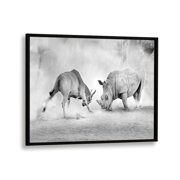 Stunning COMBAT, PHOTOGRAPHY PRINTS showcasing wildlife in an intense standoff, perfect for nature enthusiasts.