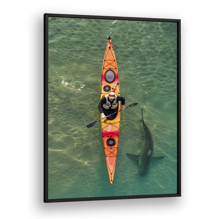Kayaker glides over a shark in clear waters, showcasing the INTIMATE SHARK ENCOUNTER, PHOTOGRAPHY PRINTS experience.