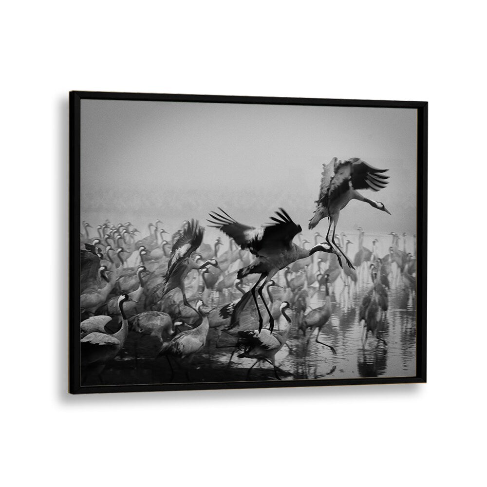 Stunning TRIO, PHOTOGRAPHY PRINTS featuring dynamic cranes in a dramatic black-and-white scene. Perfect for art lovers.