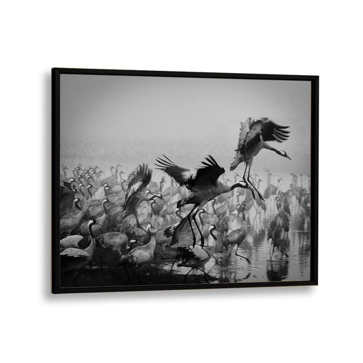 Stunning TRIO, PHOTOGRAPHY PRINTS featuring dynamic cranes in a dramatic black-and-white scene. Perfect for art lovers.