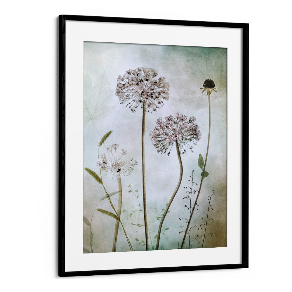 Elegant ALLIUM, FLORAL FLOWER PAINTINGS enhancing home decor with sophistication and charm. Perfect for any room.