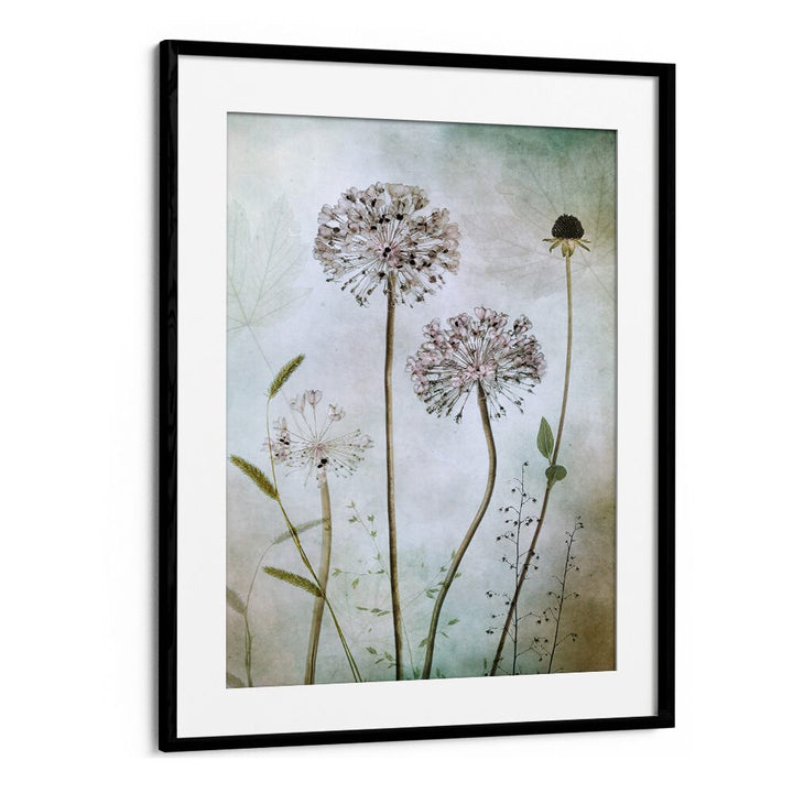 Elegant ALLIUM, FLORAL FLOWER PAINTINGS enhancing home decor with sophistication and charm. Perfect for any room.
