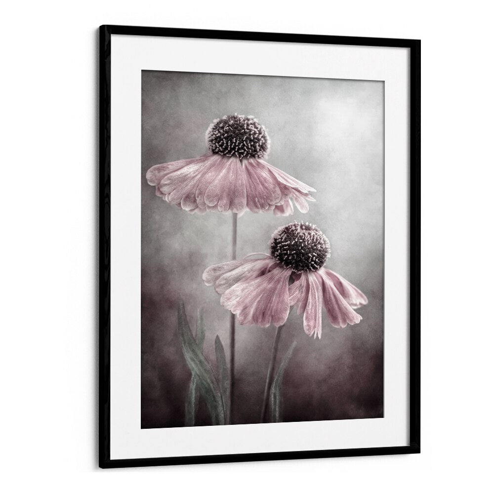 Elegant DUET, FLORAL FLOWER PAINTINGS showcasing soft pink flowers in a stylish frame, perfect for premium home decor.