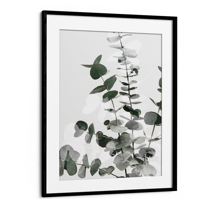 EUCALYPTUS CREATIVE VI, FLORAL FLOWER PAINTINGS showcase vibrant eucalyptus leaves, perfect for enhancing your living space.