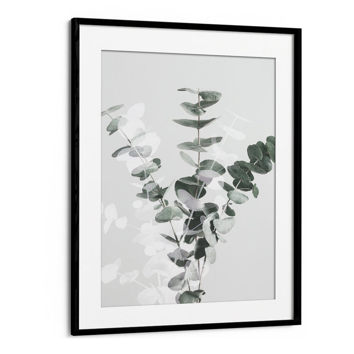 EUCALYPTUS CREATIVE VII, FLORAL FLOWER PAINTINGS showcase elegant eucalyptus leaves in a stylish black frame.