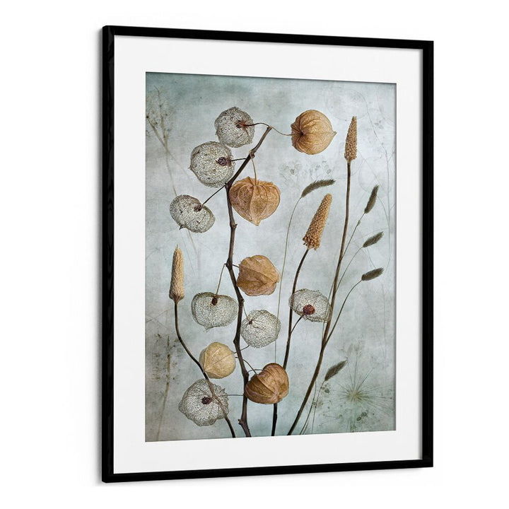 Illuminate your space with BLACKMOUNT's LANTERNS, FLORAL FLOWER PAINTINGS, perfect for any outdoor gathering.