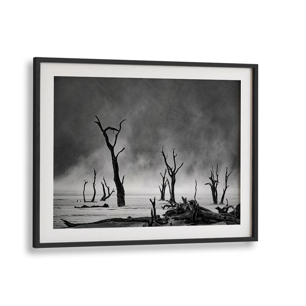 NAMIBIA - THE SPIRIT OF WILDERNESS III , PHOTOGRAPHY PRINTS