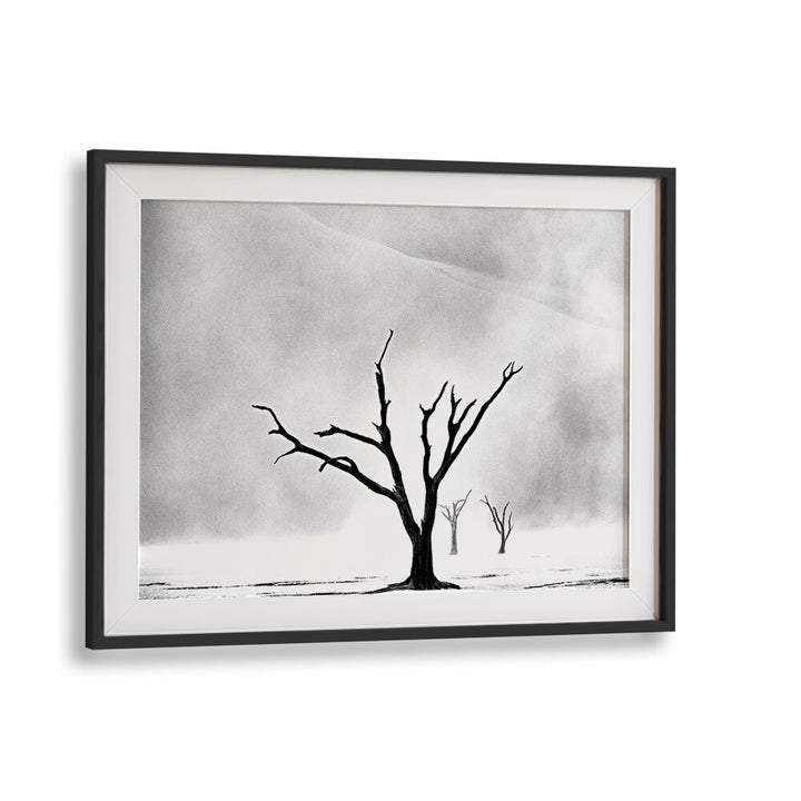 NAMIBIA - THE SPIRIT OF WILDERNESS I , PHOTOGRAPHY PRINTS