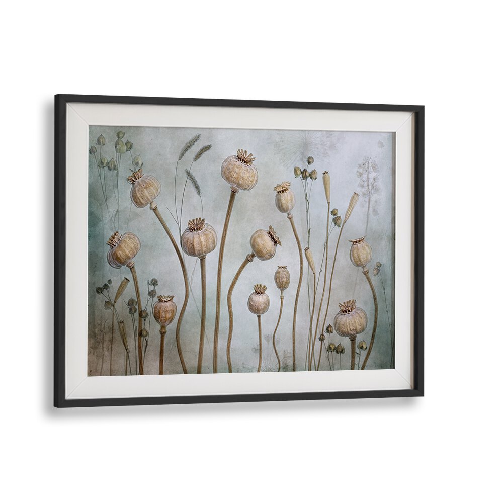 Elegant PAPAVER, FLORAL FLOWER PAINTINGS showcase delicate poppy designs, perfect for enhancing home decor style.