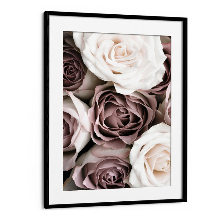 Elegant ROSES, FLORAL FLOWER PAINTINGS showcasing soft blooms, perfect for transforming your living space into a vibrant oasis.