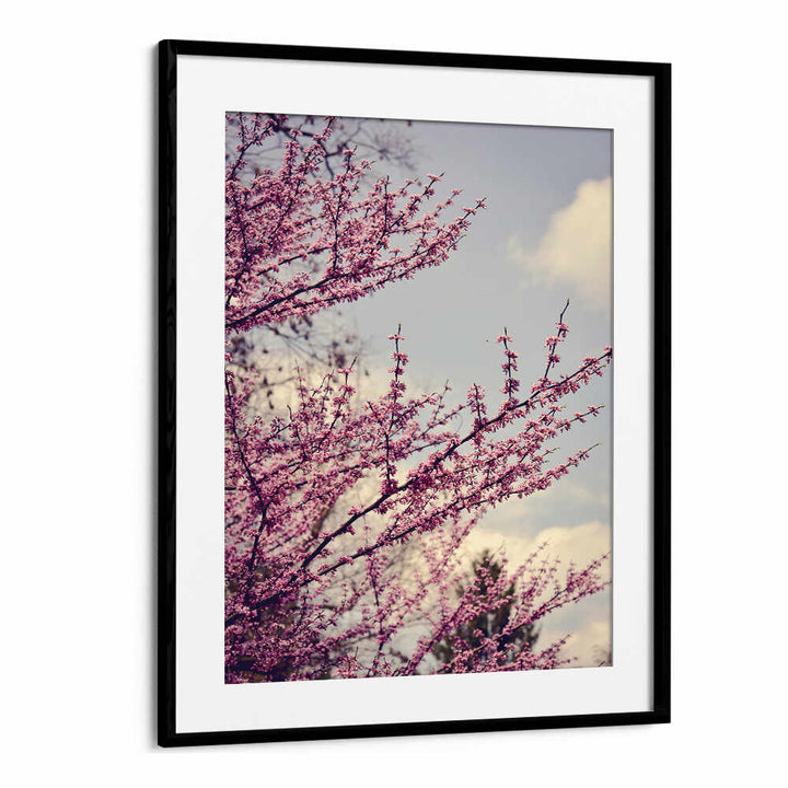 SPRING PHOTOGRAPH , FLORAL FLOWER PAINTINGS