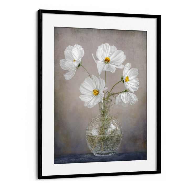 Elegant SIMPLY COSMOS, FLORAL FLOWER PAINTINGS showcasing beautiful white flowers in a stylish vase. Perfect for any decor.
