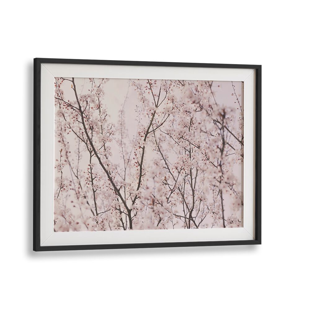Delicate SPRING BLOSSOMS, FLORAL FLOWER PAINTINGS, enhance your space with vibrant spring colors and natural beauty.