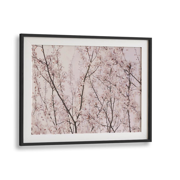 Delicate SPRING BLOSSOMS, FLORAL FLOWER PAINTINGS, enhance your space with vibrant spring colors and natural beauty.