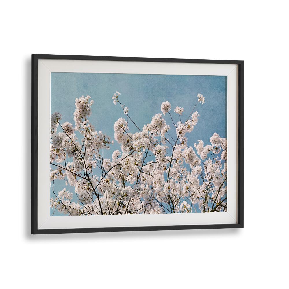 Stunning BLUE SKY BLOSSOMS, FLORAL FLOWER PAINTINGS showcasing delicate blooms against a serene blue sky backdrop.