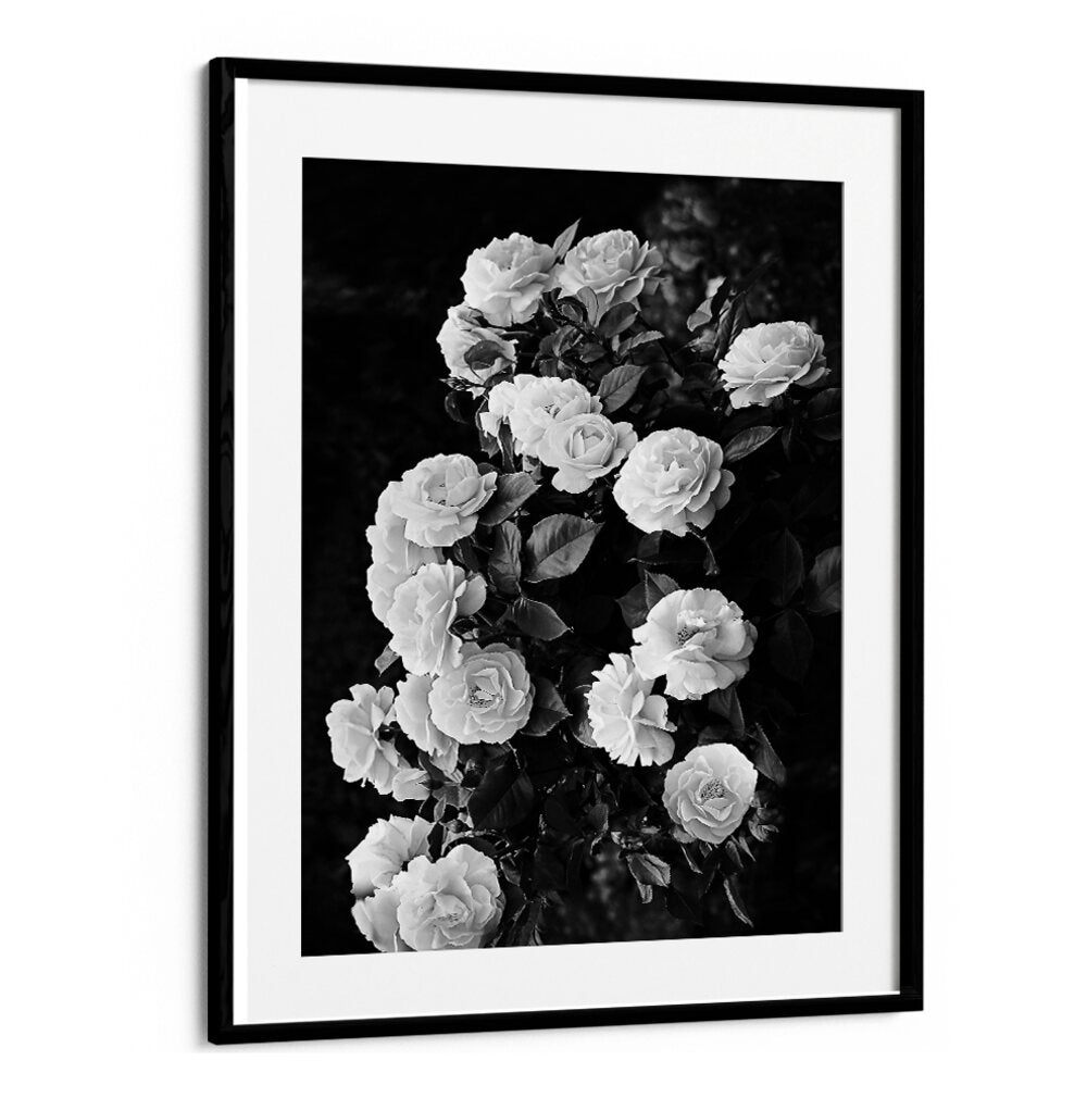 Elegant ROSE BUSH, FLORAL FLOWER PAINTINGS showcasing stunning blooms, perfect for transforming your garden.