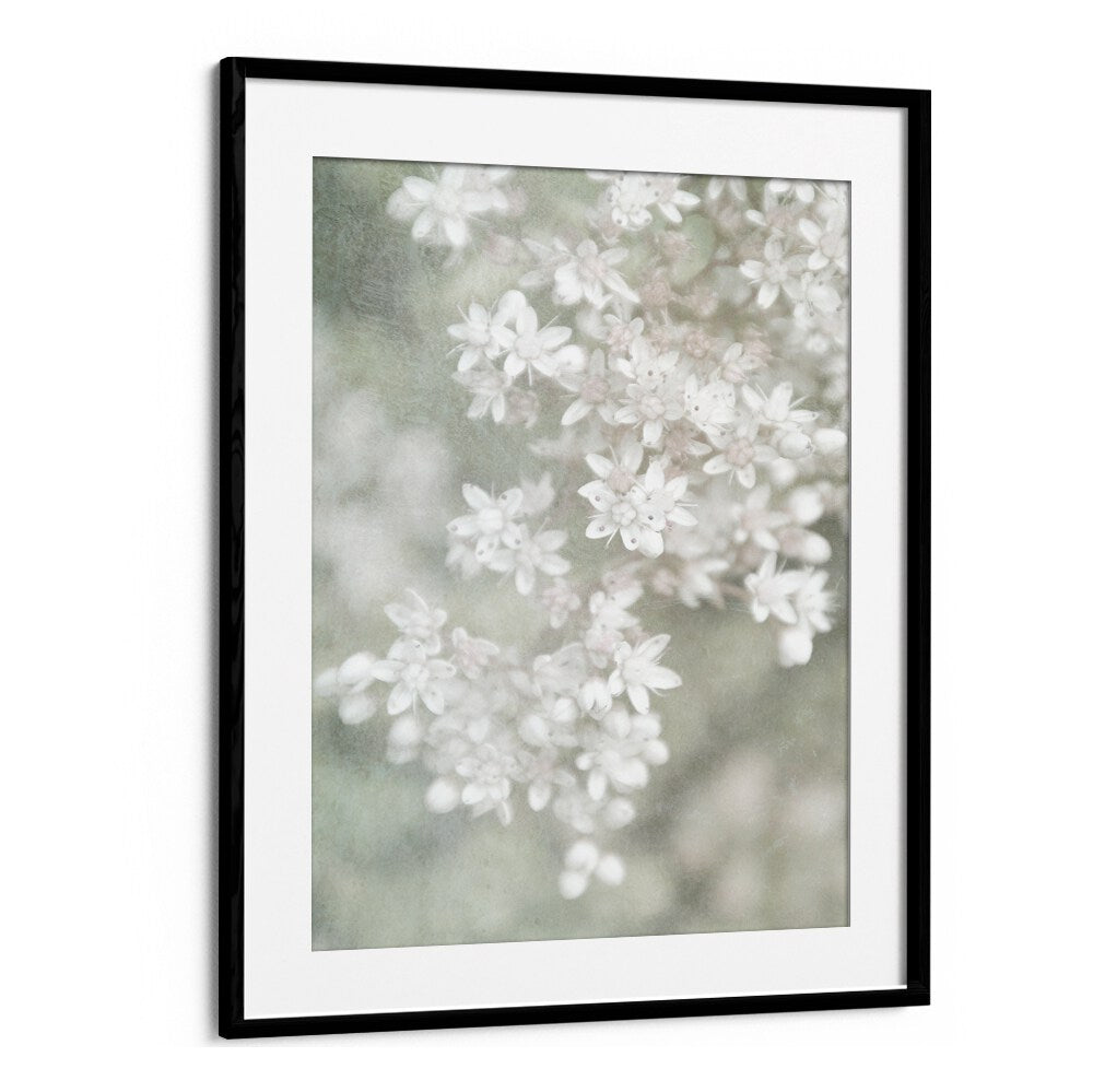 Elegant FADING, FLORAL FLOWER PAINTINGS, featuring soft petals and dreamy hues, perfect for any decor style.