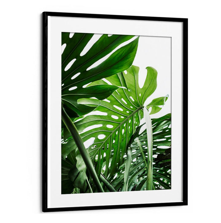 Vibrant green leaves featured in JUNGLE, FLORAL FLOWER PAINTINGS bring nature's beauty into your home decor.