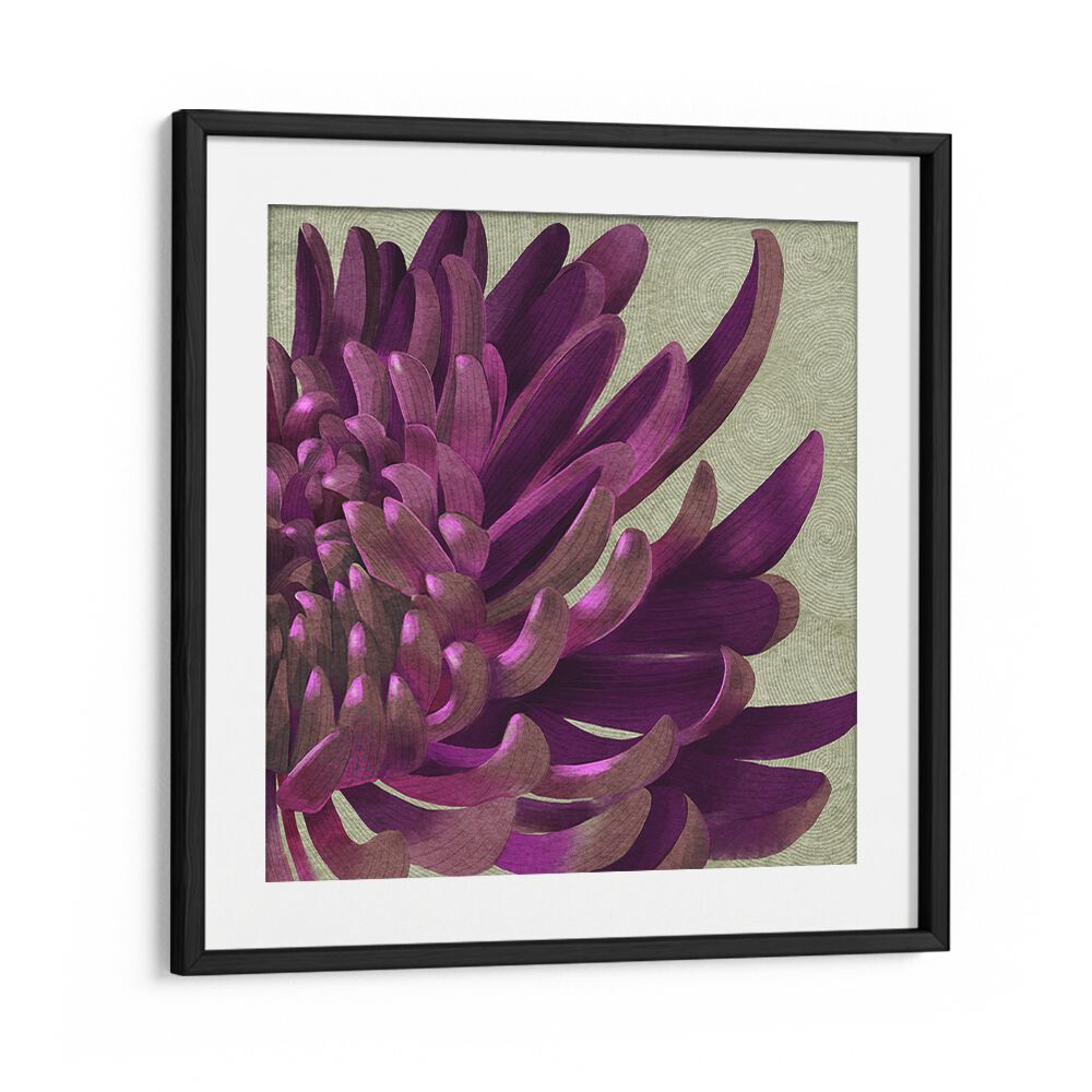 Vibrant CHRYSANTHEMUM PURPLE, FLORAL FLOWER PAINTINGS enhance any space with stunning deep hues and elegance.