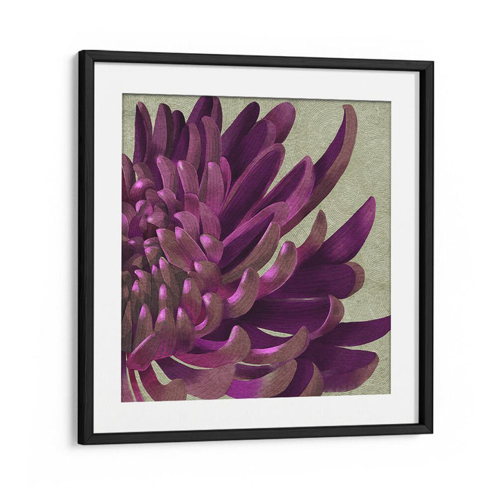 Vibrant CHRYSANTHEMUM PURPLE, FLORAL FLOWER PAINTINGS enhance any space with stunning deep hues and elegance.